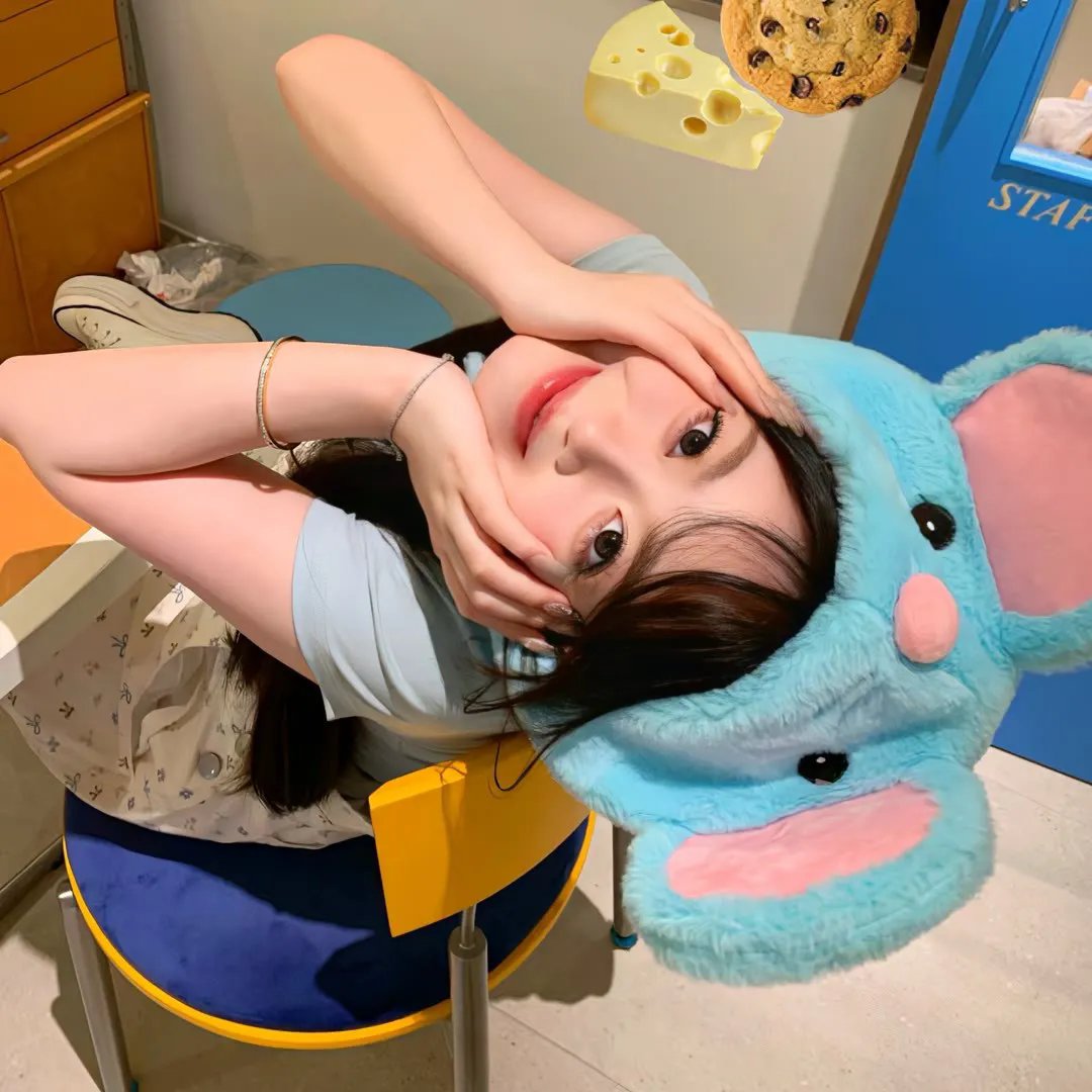 纸之月封面